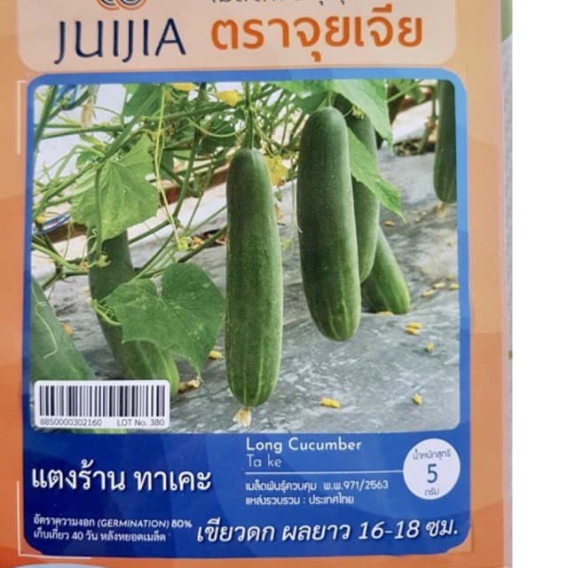 แตงร้าน ทาเคะ ลูกยาว (ประมาณ 50 เมล็ด)