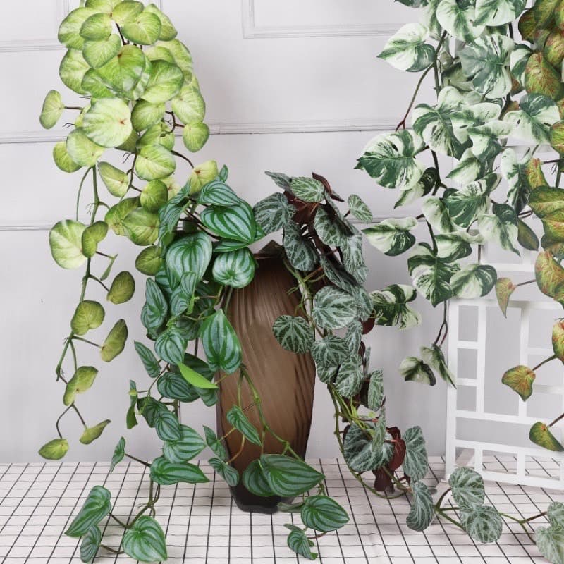 Artificial Vines เถาวัลย์ตกแต่งกรง กิ้งก่า คาเมเลียน ตู้สัตว์เลื้อยคลาน