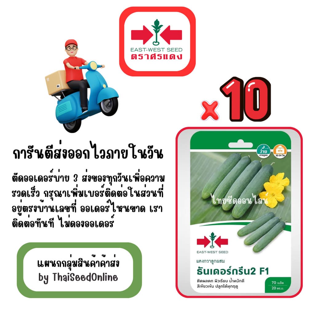 GG x 10 เมล็ดผักซองศรแดง ธันเดอร์กรีน2 แตงกวา สินค้ายกแพ็ค