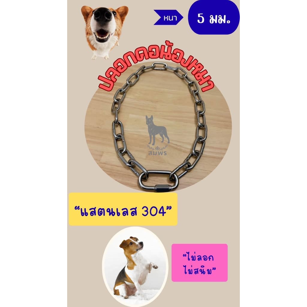 ปลอกคอสุนัขสแตนเลส ขนาด 5 mm