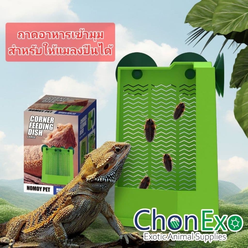 (พร้อมส่ง)ถาดอาหารสำหรับให้แมลงปีน