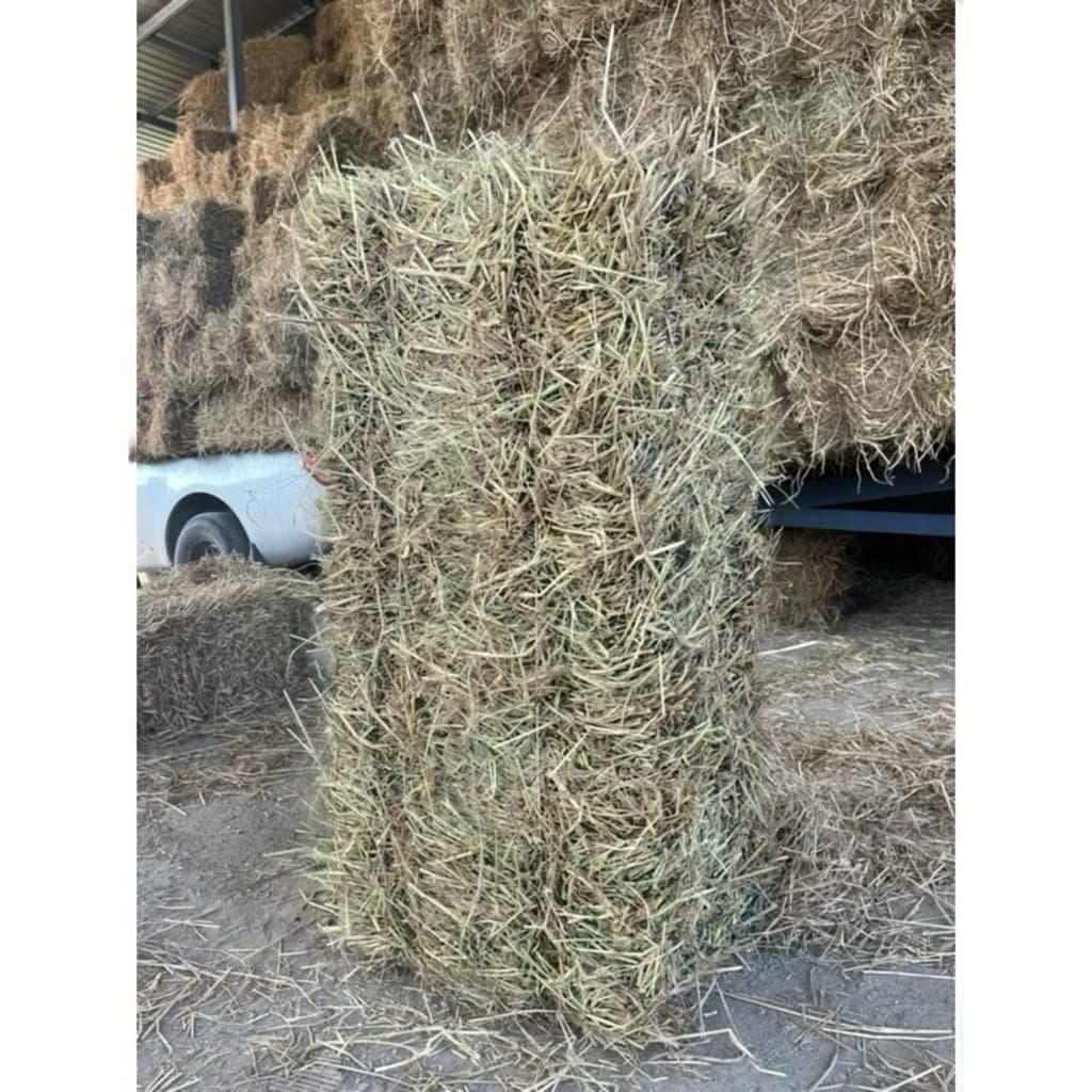ฟางข้าวแห้งๆ เขียวๆขนาดแบ่งขาย  2kg ⌛️🌾🌾ฟางข้าวคลุมหน้าดิน