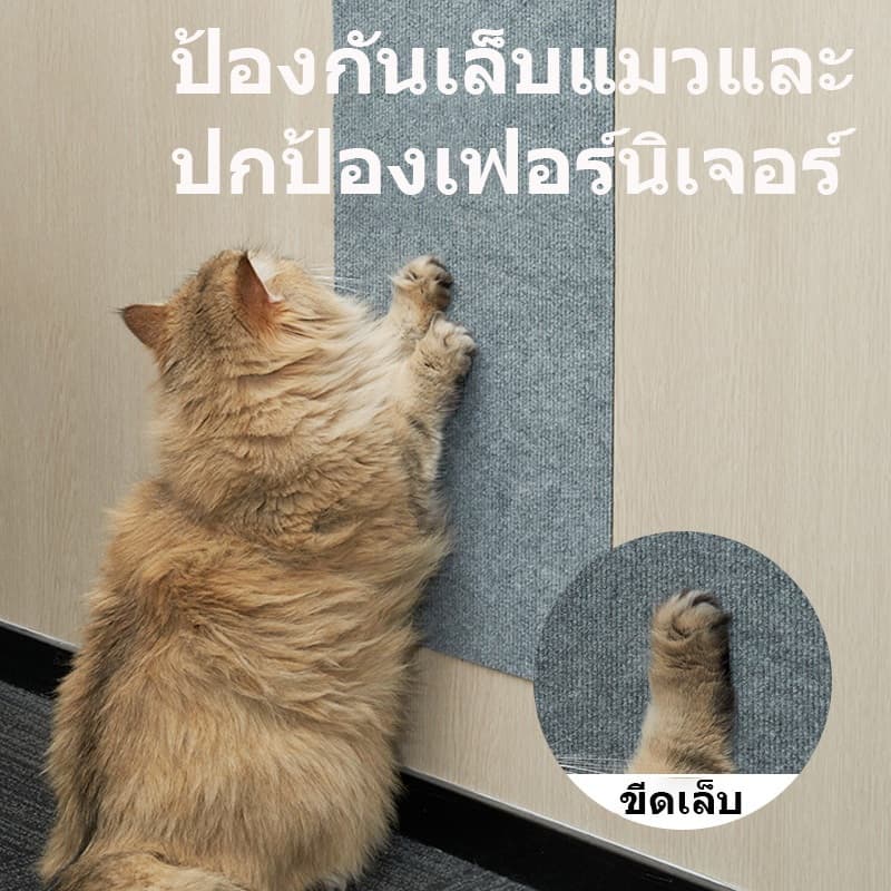 ✨แผ่นขีดเล็บแมว ติดได้ทุกที่ ติดแล้วยังไม่ทิ้งรอย อายุการใช้งานยาวนาน